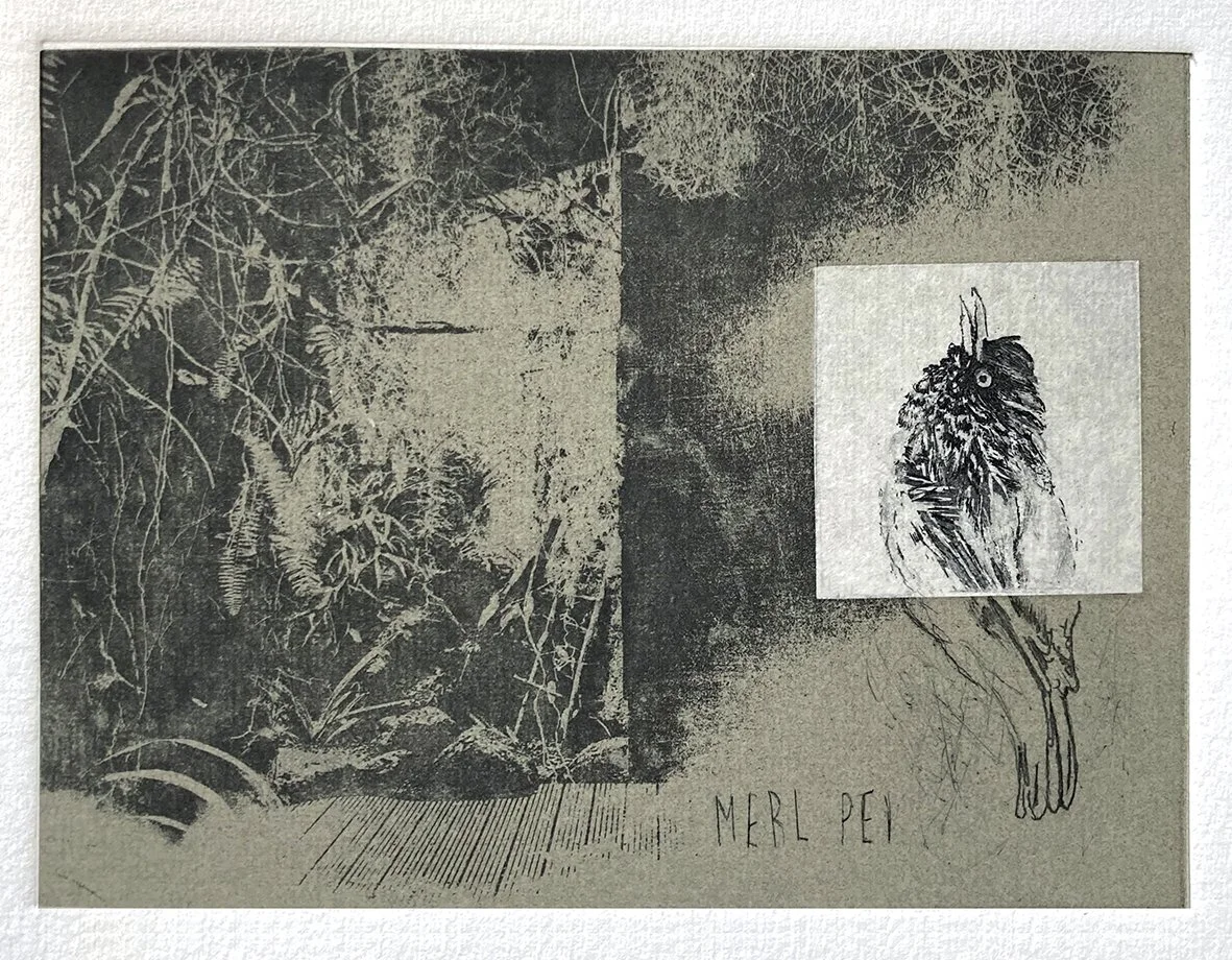 BulbulHéliogravure, pointe-seche, aquatinte-15,5x20cm-260€.jpg