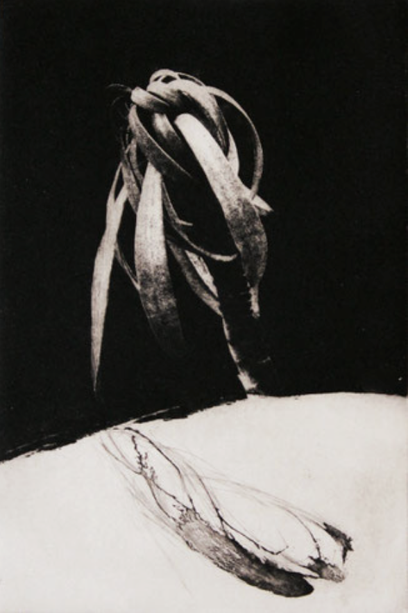 Capture d’écran 2026-02-17 à 05.45.01.png