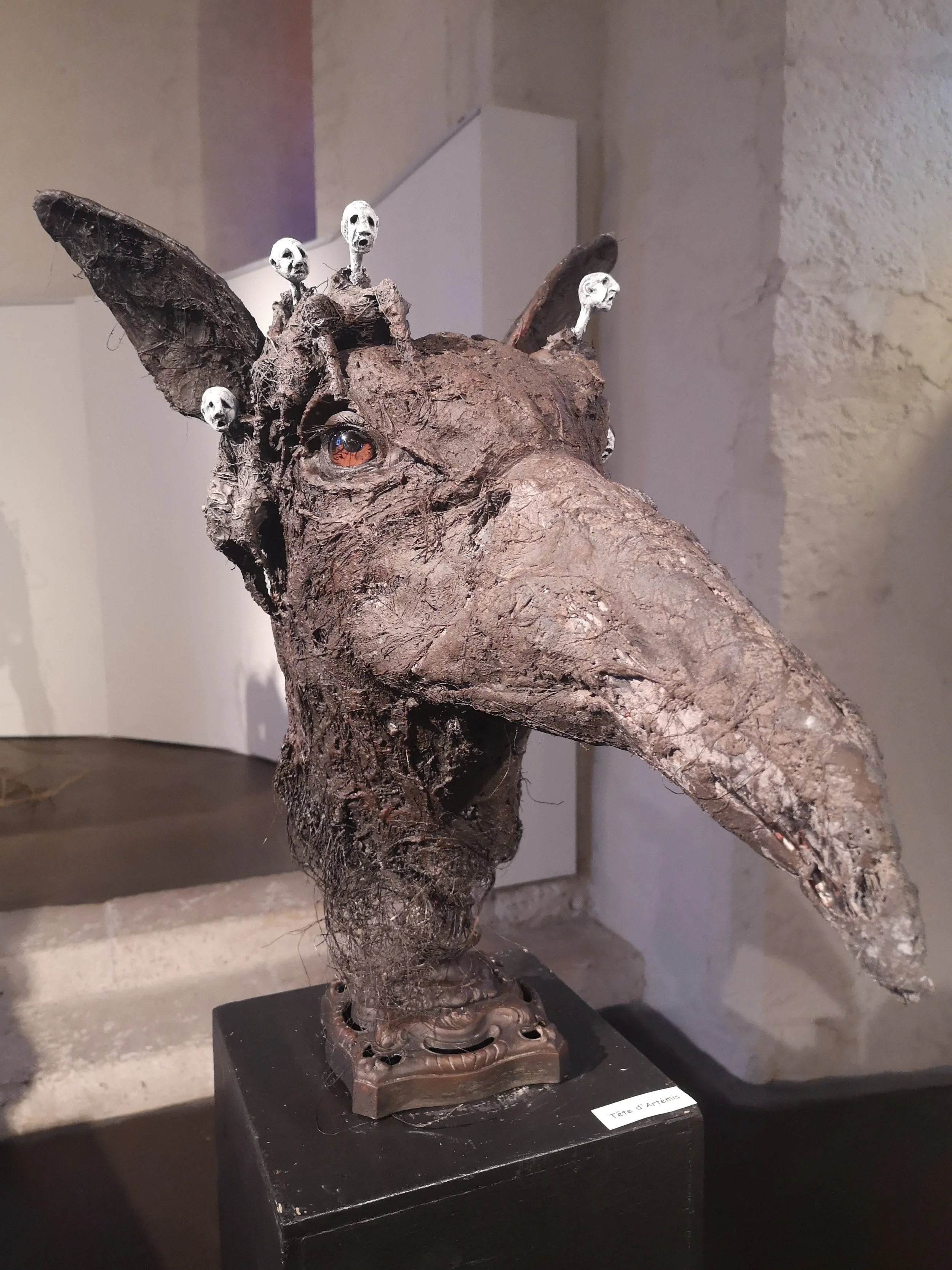 5. Tête d'Artemis H57x L57 x l 39 - 3000€.jpg