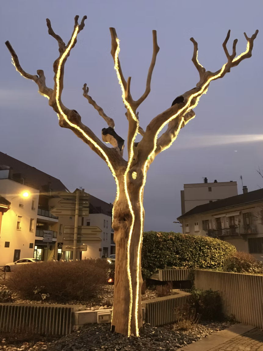 Capture d’écran 2026-01-30 à 09.28.06.png