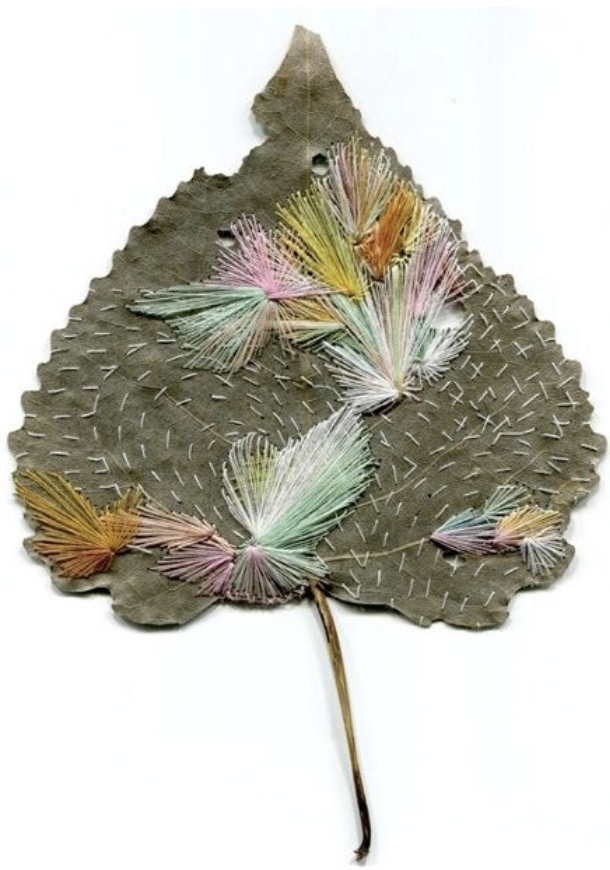 Capture d’écran 2026-02-17 à 05.27.49.png