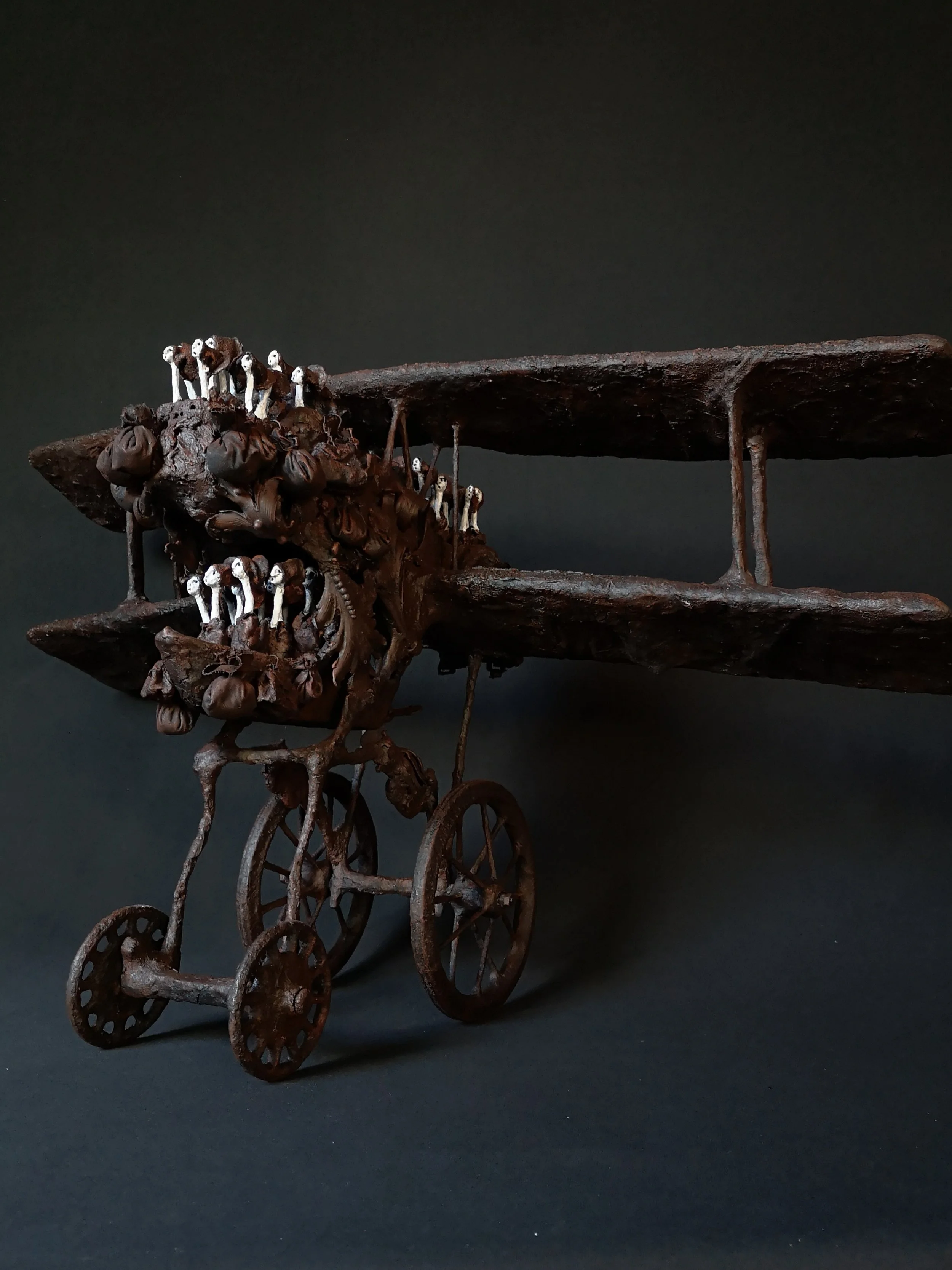 12. L'Avion H 50x L110x l 63- 3000€ .jpg