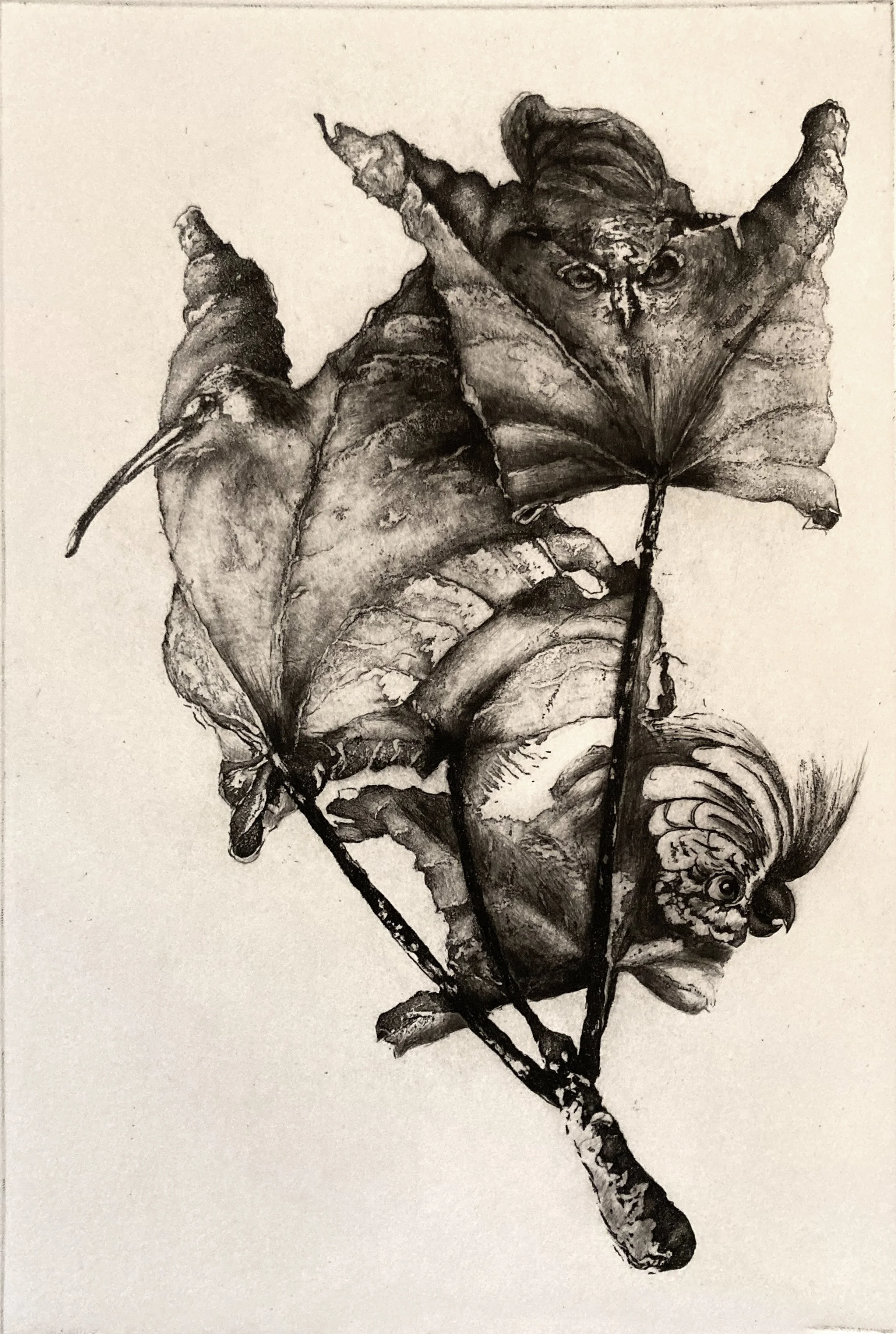 Confinement-Eau-forte aquatinte-30x20cm-240€.jpg