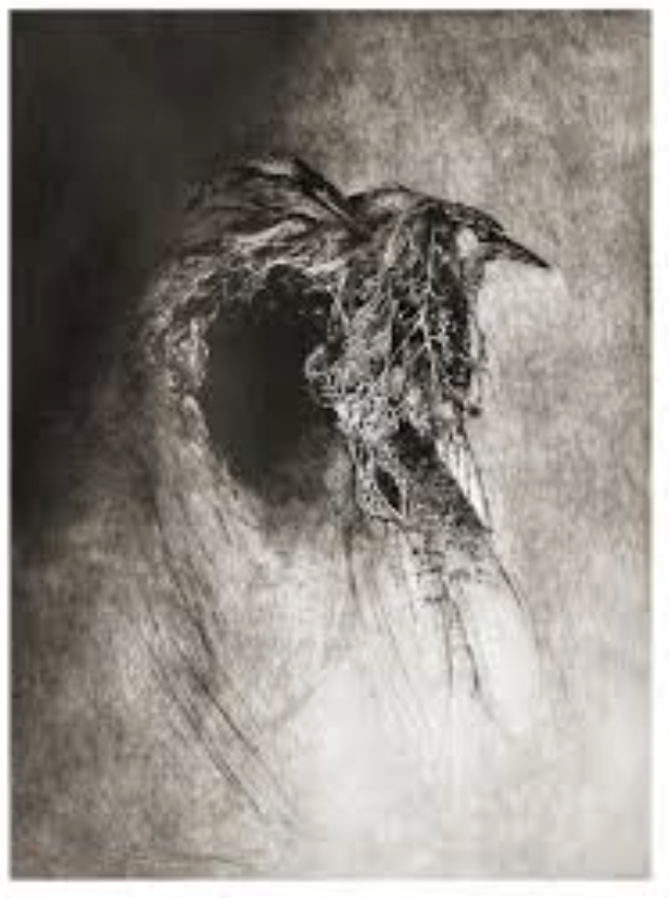 Capture d’écran 2026-02-17 à 05.43.59.png