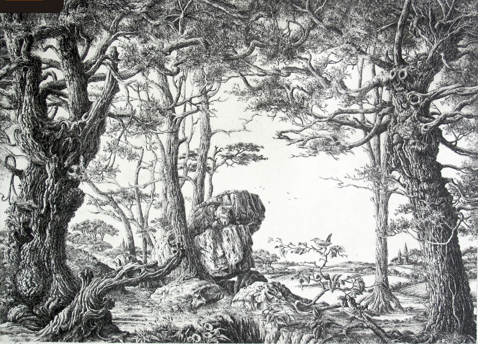 Capture d’écran 2026-02-17 à 06.30.57.png