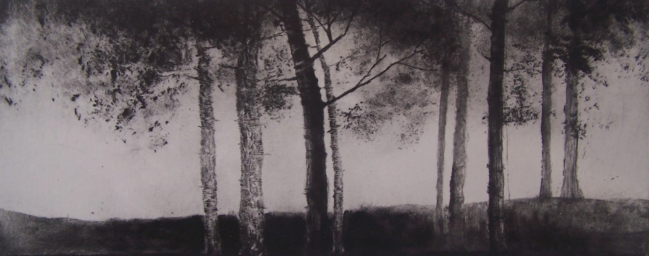 haute futaie III- 20x50cm v.loiseau.JPG