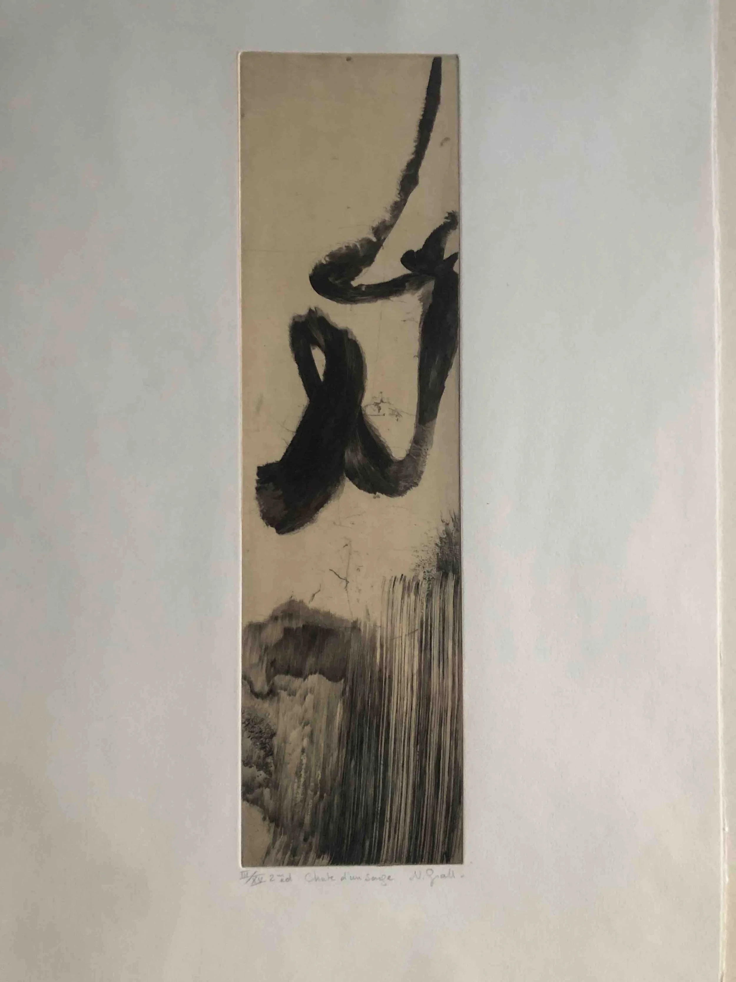 La chute d'un songe.jpg