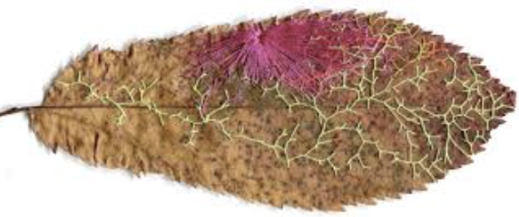 Capture d’écran 2026-02-17 à 05.33.45.png