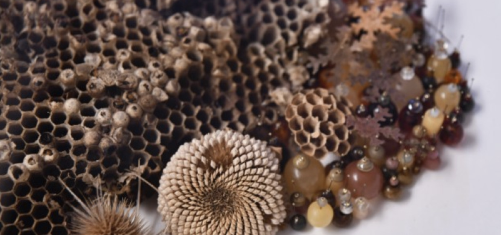 Capture d’écran 2026-02-17 à 05.34.38.png