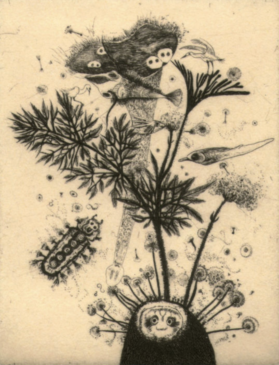 Capture d’écran 2026-02-17 à 06.16.56.png