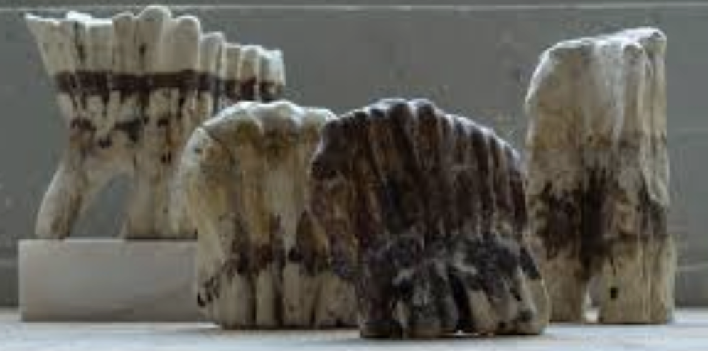 Capture d’écran 2026-01-07 à 10.09.43.png