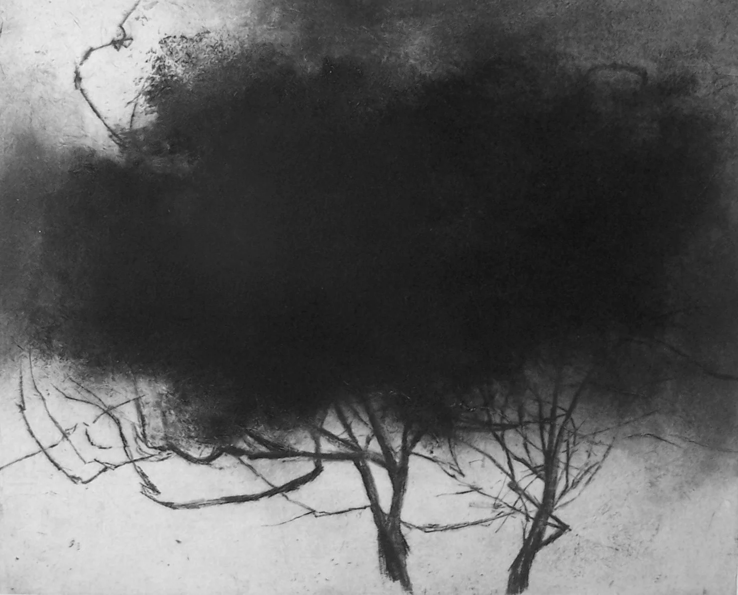 Frondaison- 40x35cm v.loiseau.JPG