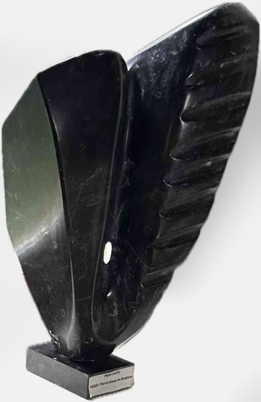 Capture d’écran 2026-02-09 à 11.59.22.png