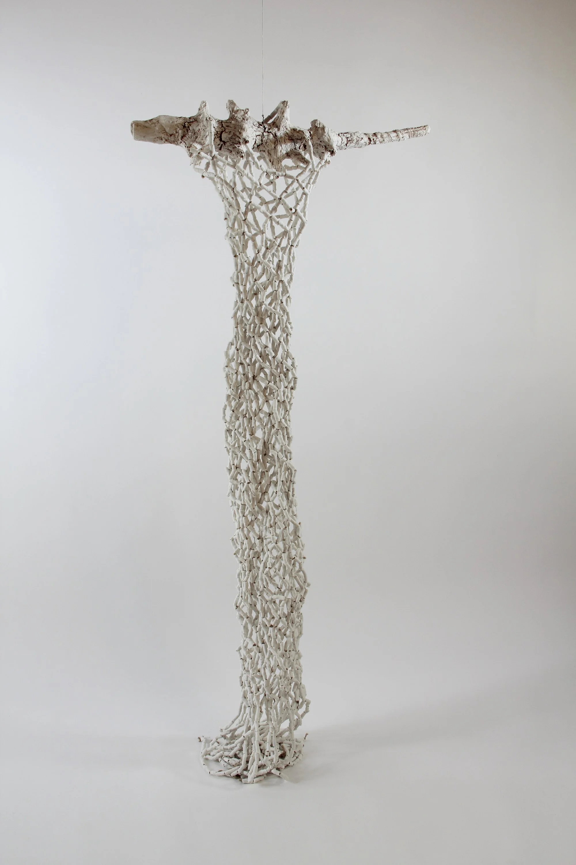 NYMFEVO GRAMMIbénédictevallet© Boïshka8217HD2XY.jpeg