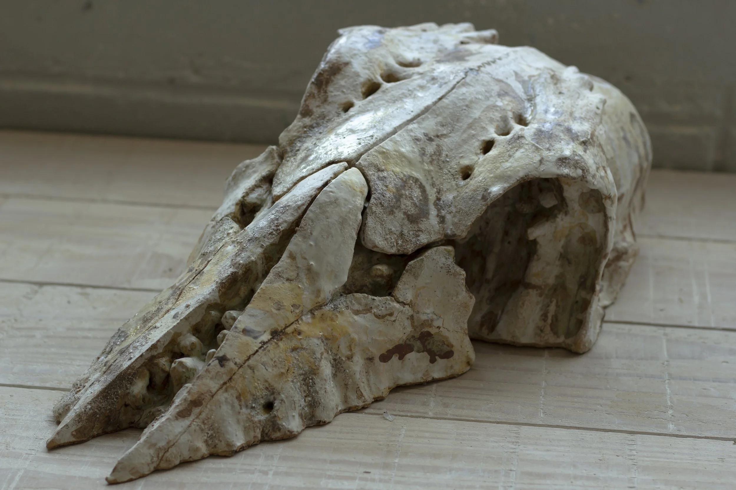 Pierre Genouvrier, Crane Affleurant, Gres, engobes, emaux, 2025, 57x9x27cm.jpg