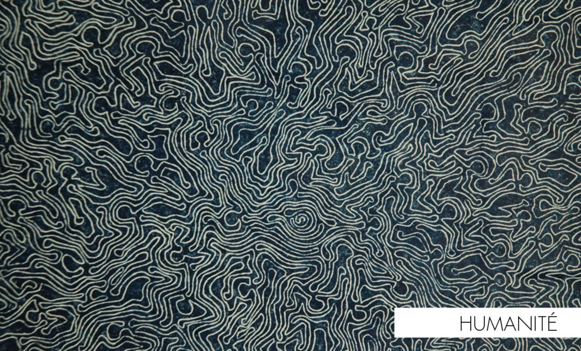 Capture d’écran 2026-01-28 à 09.15.15.jpg