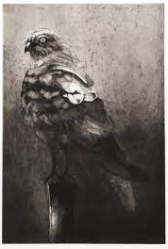 Capture d’écran 2026-02-17 à 05.44.22.png