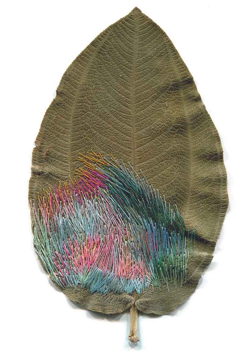 JUSTIN PALERMO 3.jpg