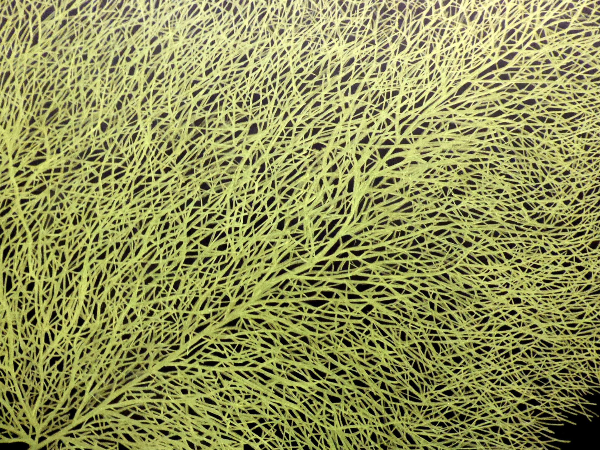 Capture d’écran 2026-01-07 à 10.14.49.png