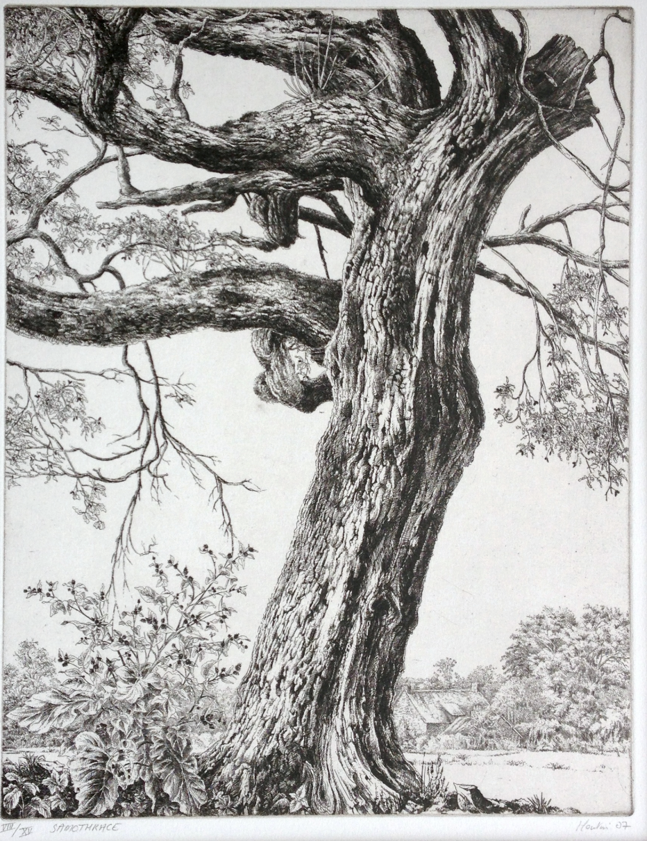 Capture d’écran 2026-02-17 à 06.31.09.png