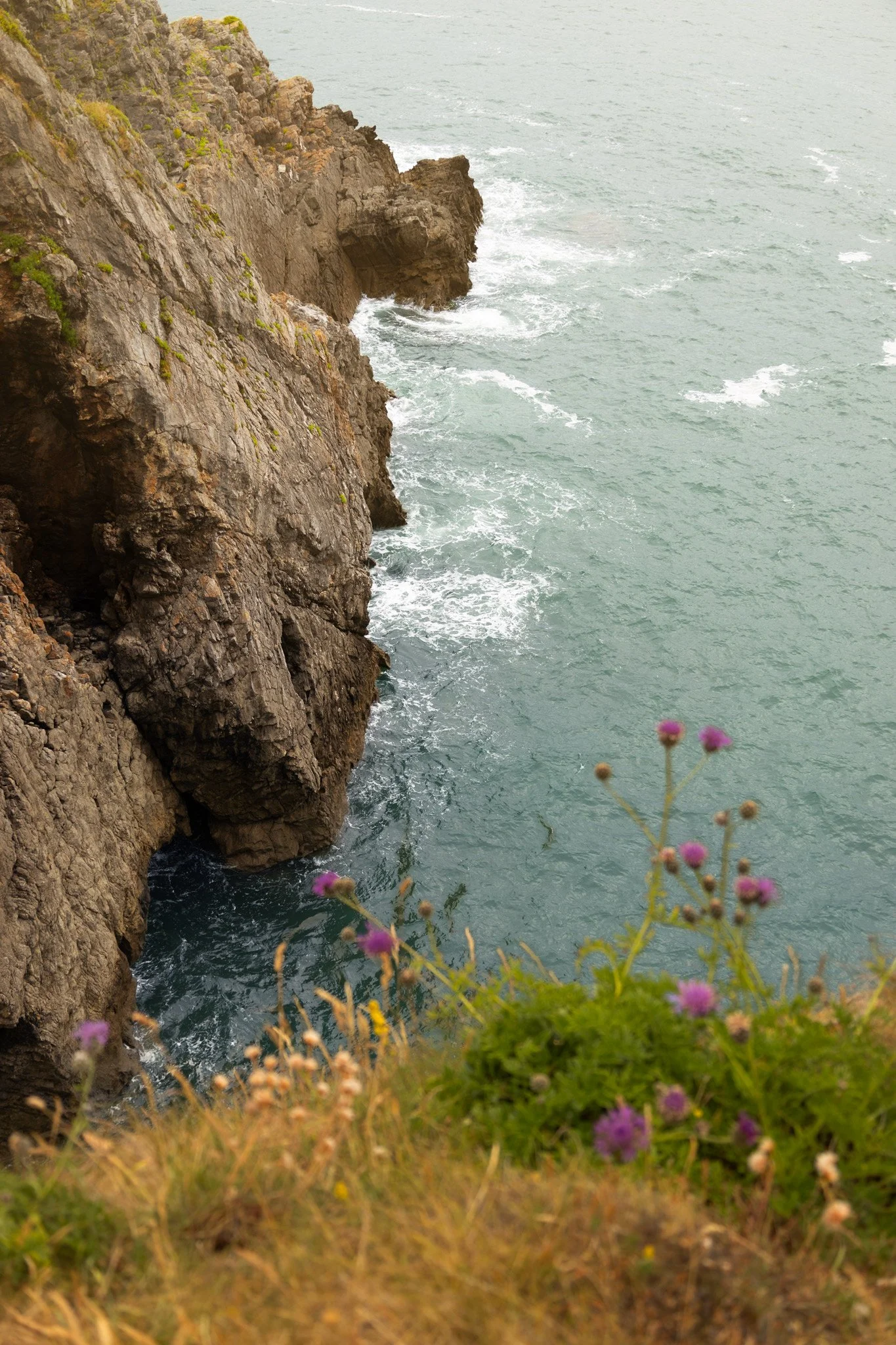 Pembroke-Landscape-2.jpg