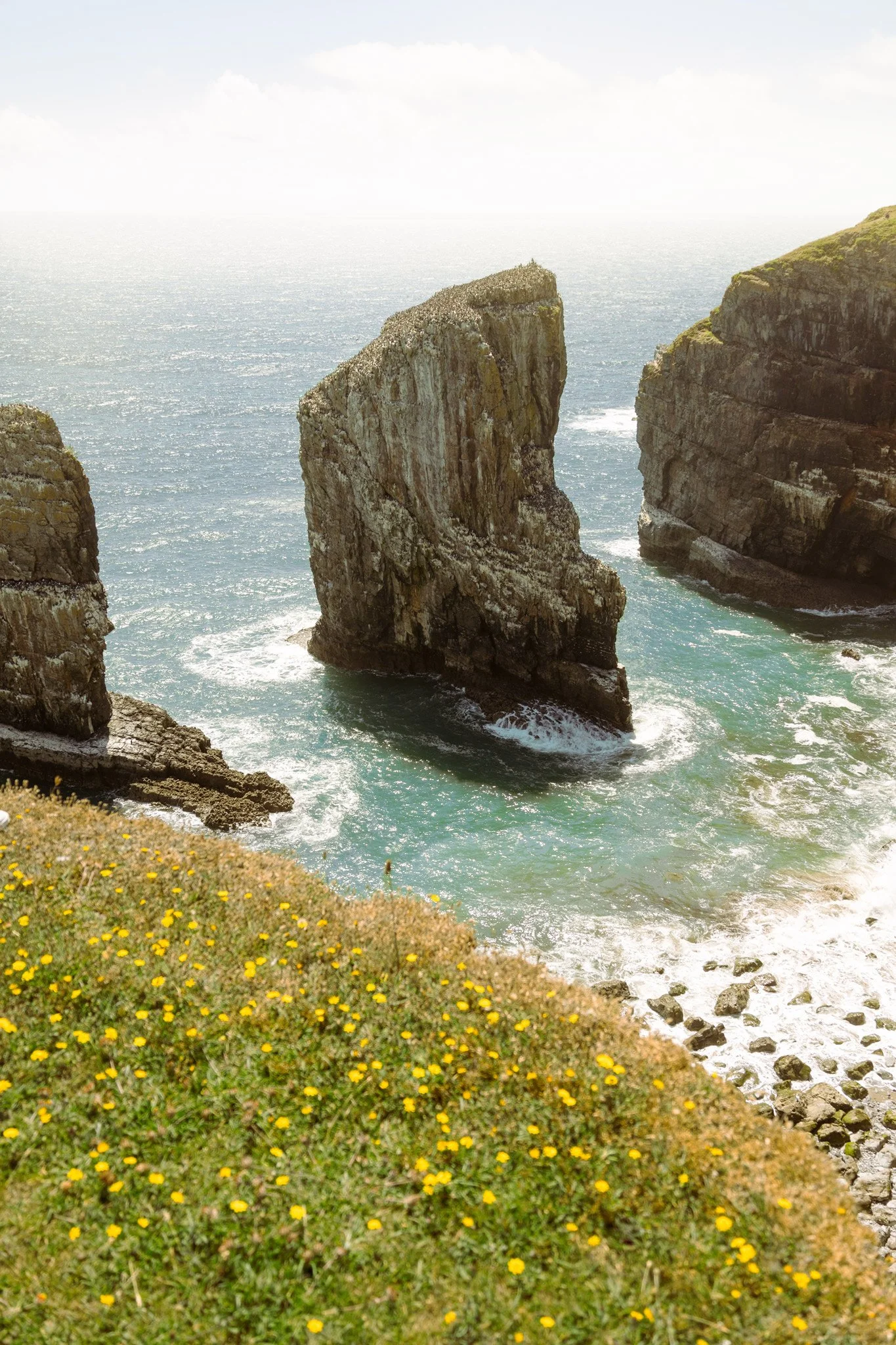 Pembroke-Landscape.jpg