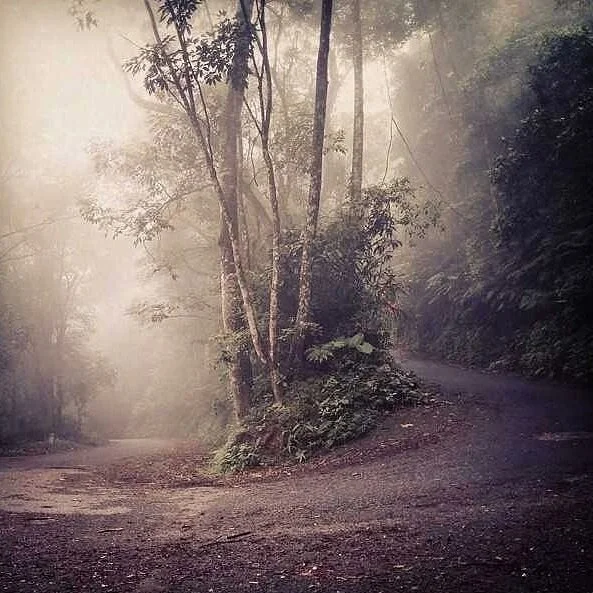 The Old Days: How the ‘back 5k’ of the Ba Vi climb looked pre-2017; this was a particularly fine switchback (Photograph by David Lloyd)