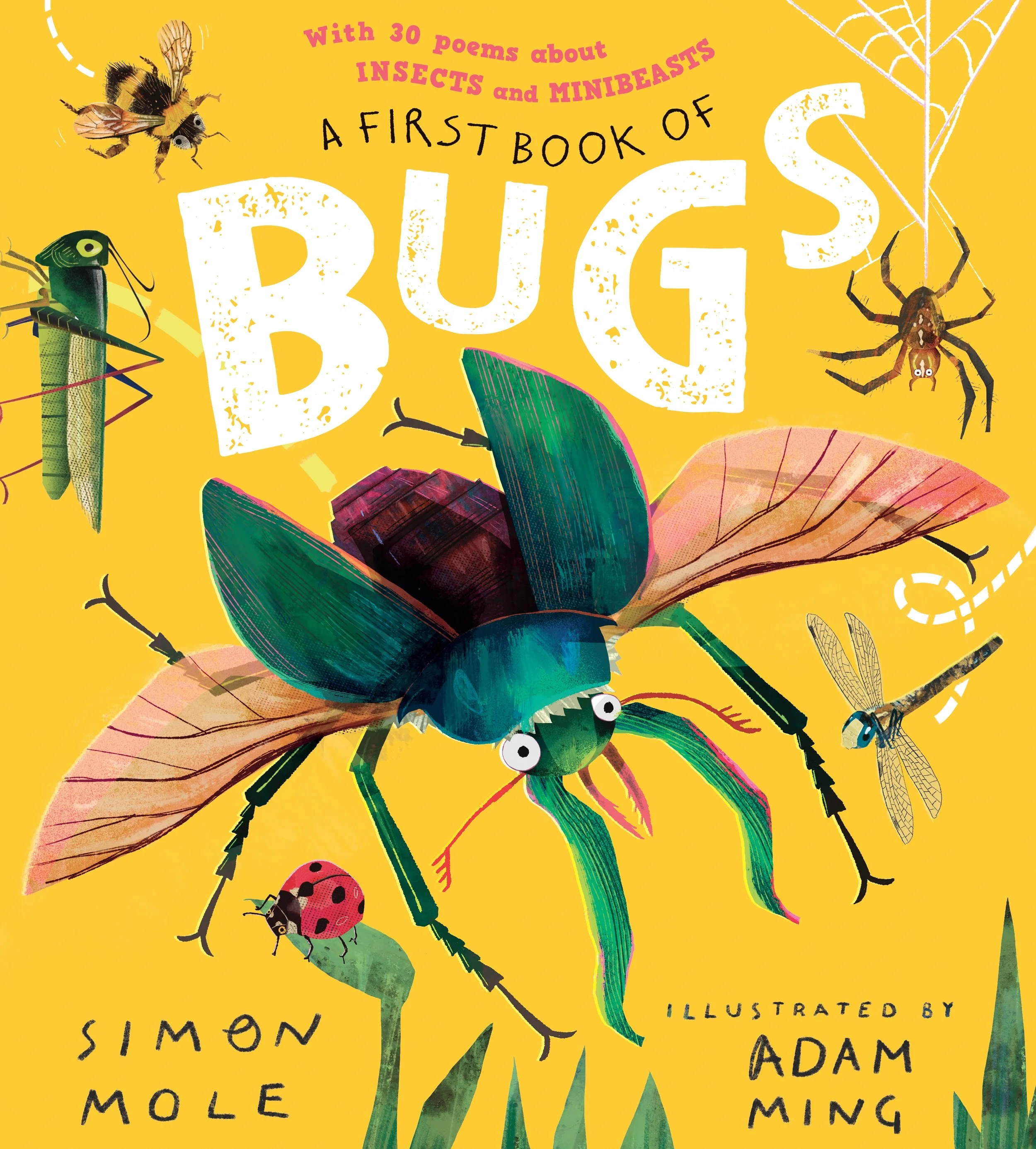A First Book of Bugs - COVER.jpg
