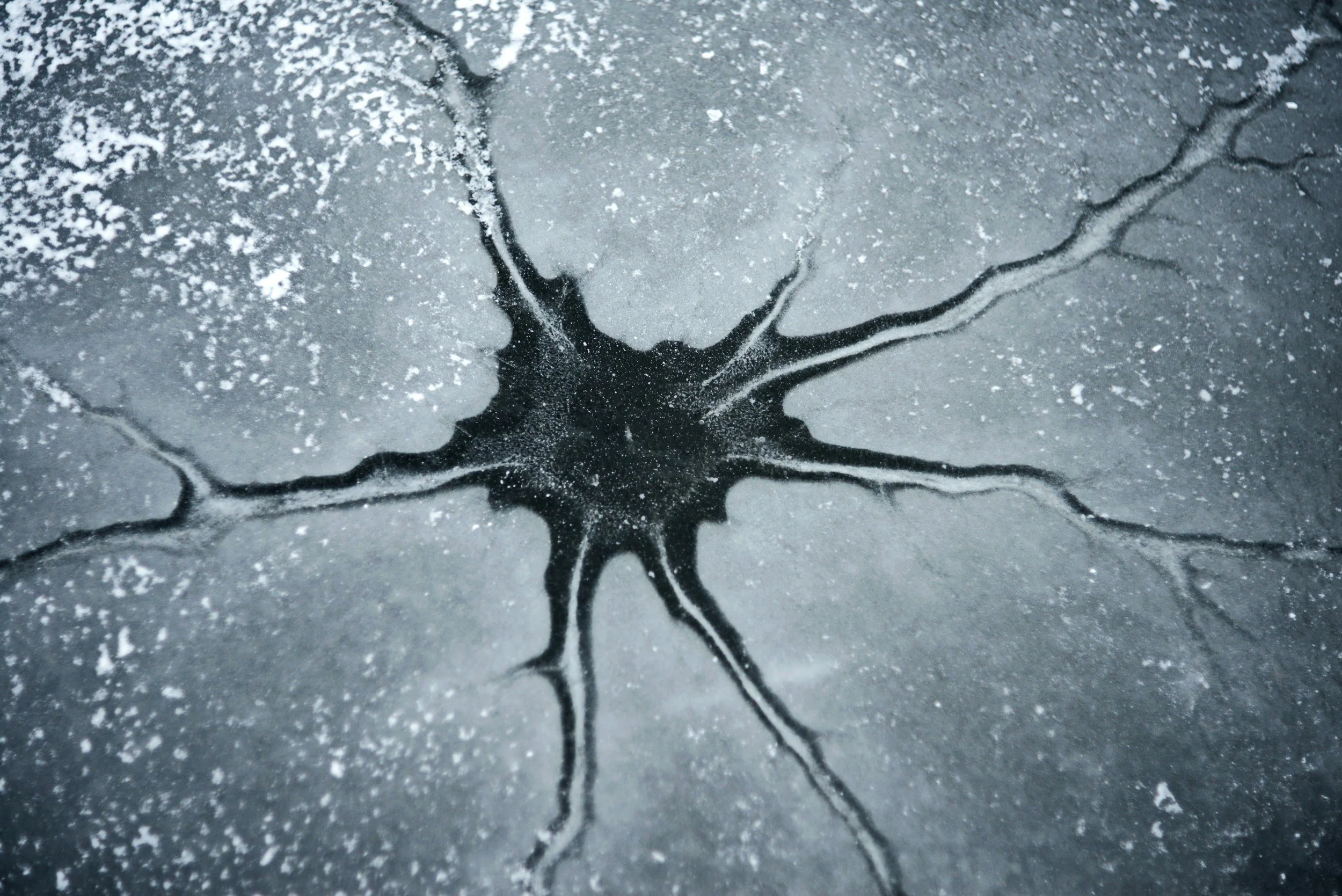 From head injury to brain dysfunction: the molecular mechanisms of a concussion