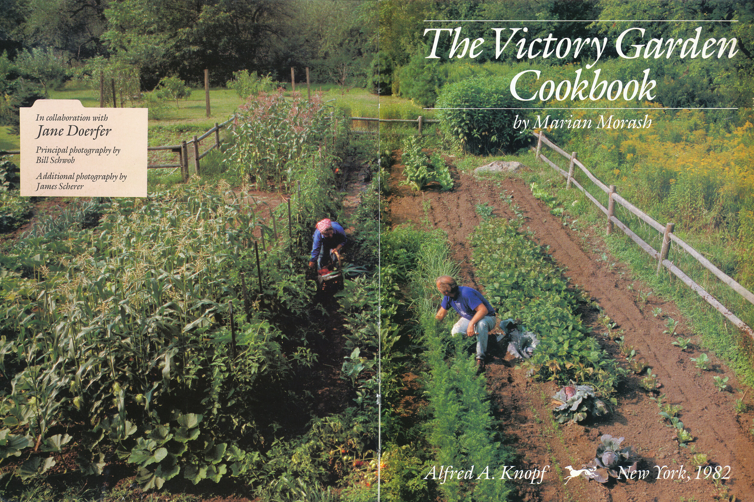 The victory garden at their home outside Boston. From 'The Victory Garden Cookbook', 1982.