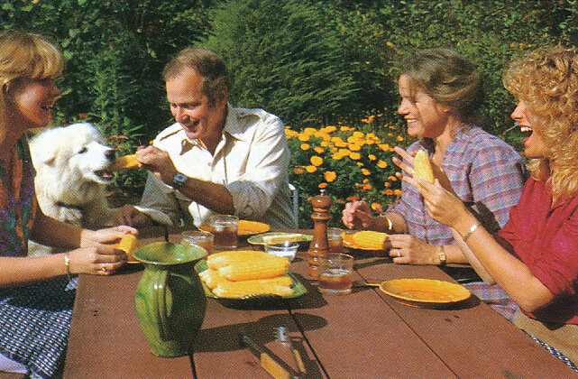 Fresh corn in the sunshine. From 'The Victory Garden Cookbook', 1982.