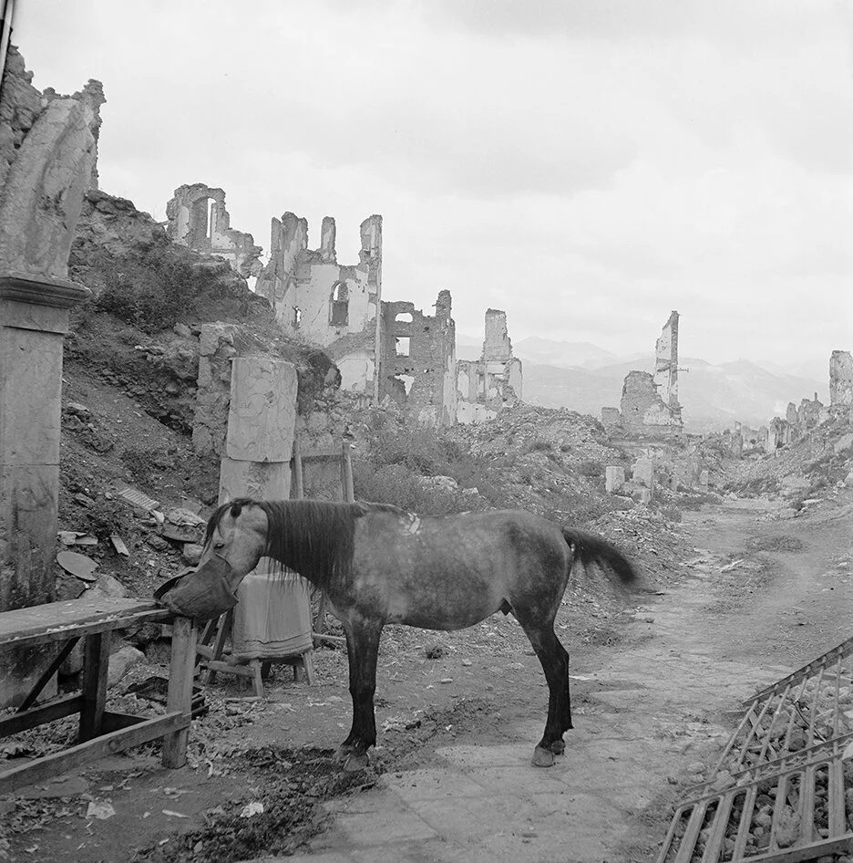 Montecassino1946-2.jpg