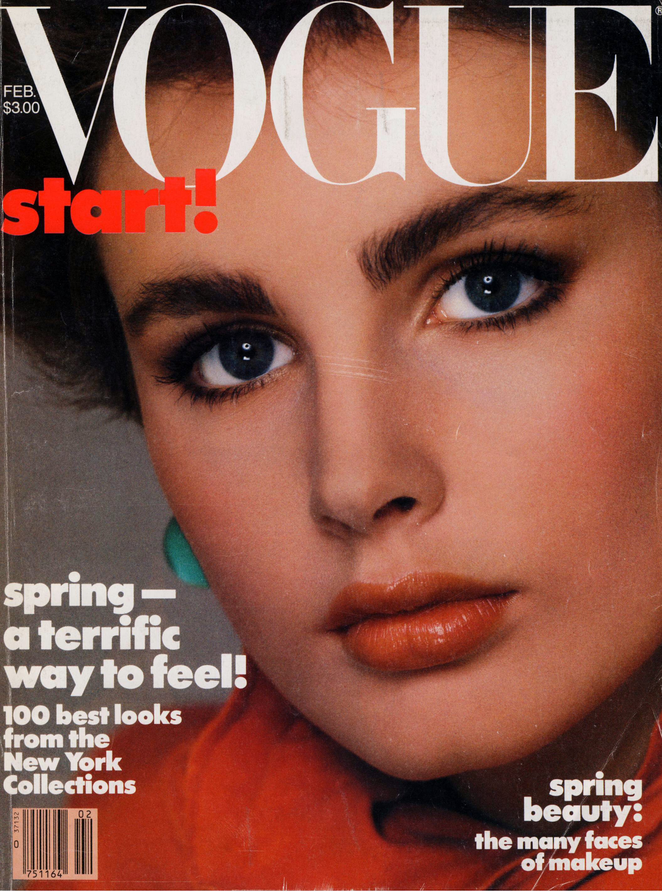 Vogue  (Feb 1, 1983)_avedon_gillette.jpg