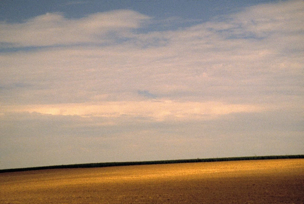 12315964644_74ba1ede85_o.jpg