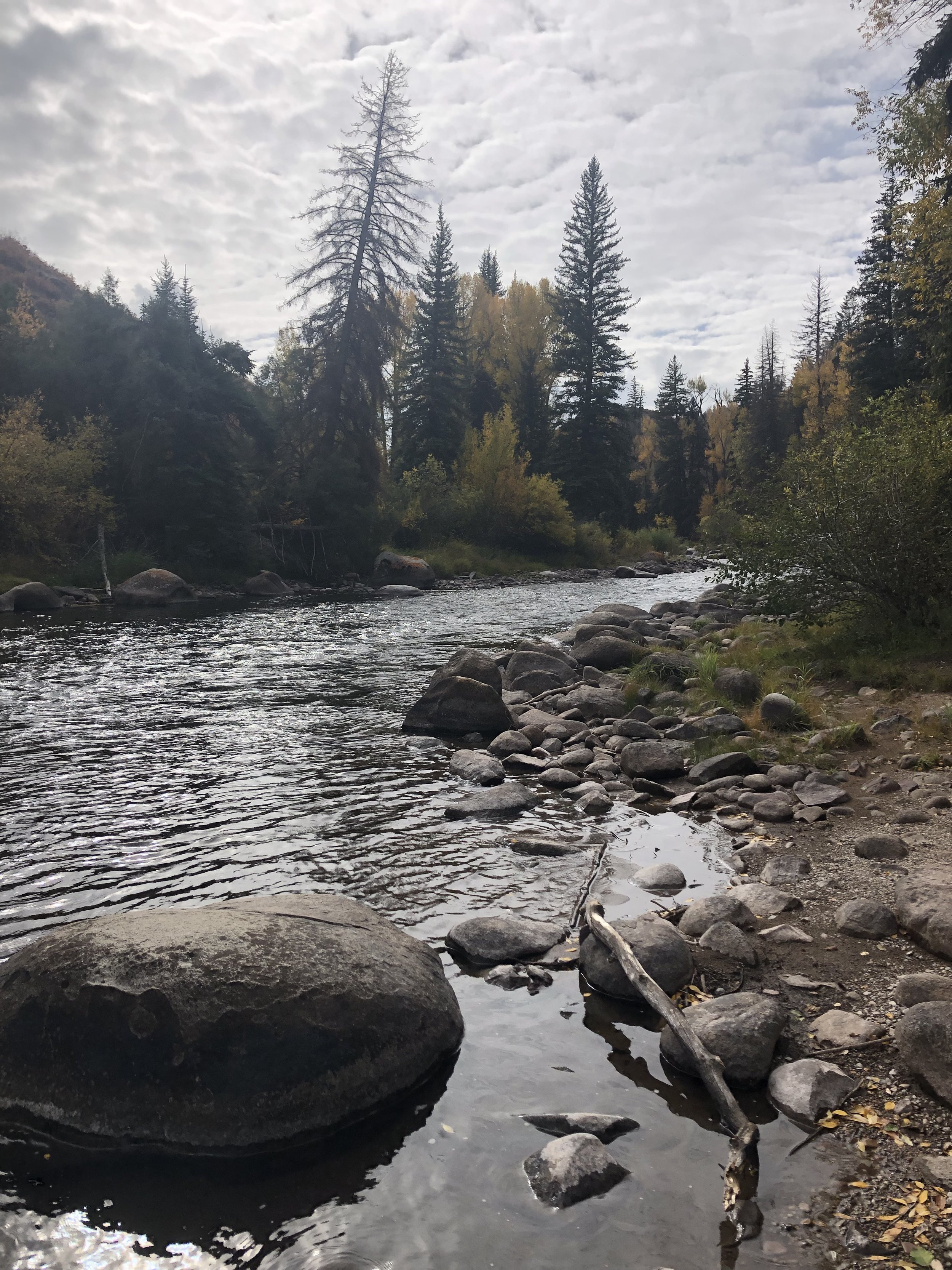 IMG_7927.jpeg