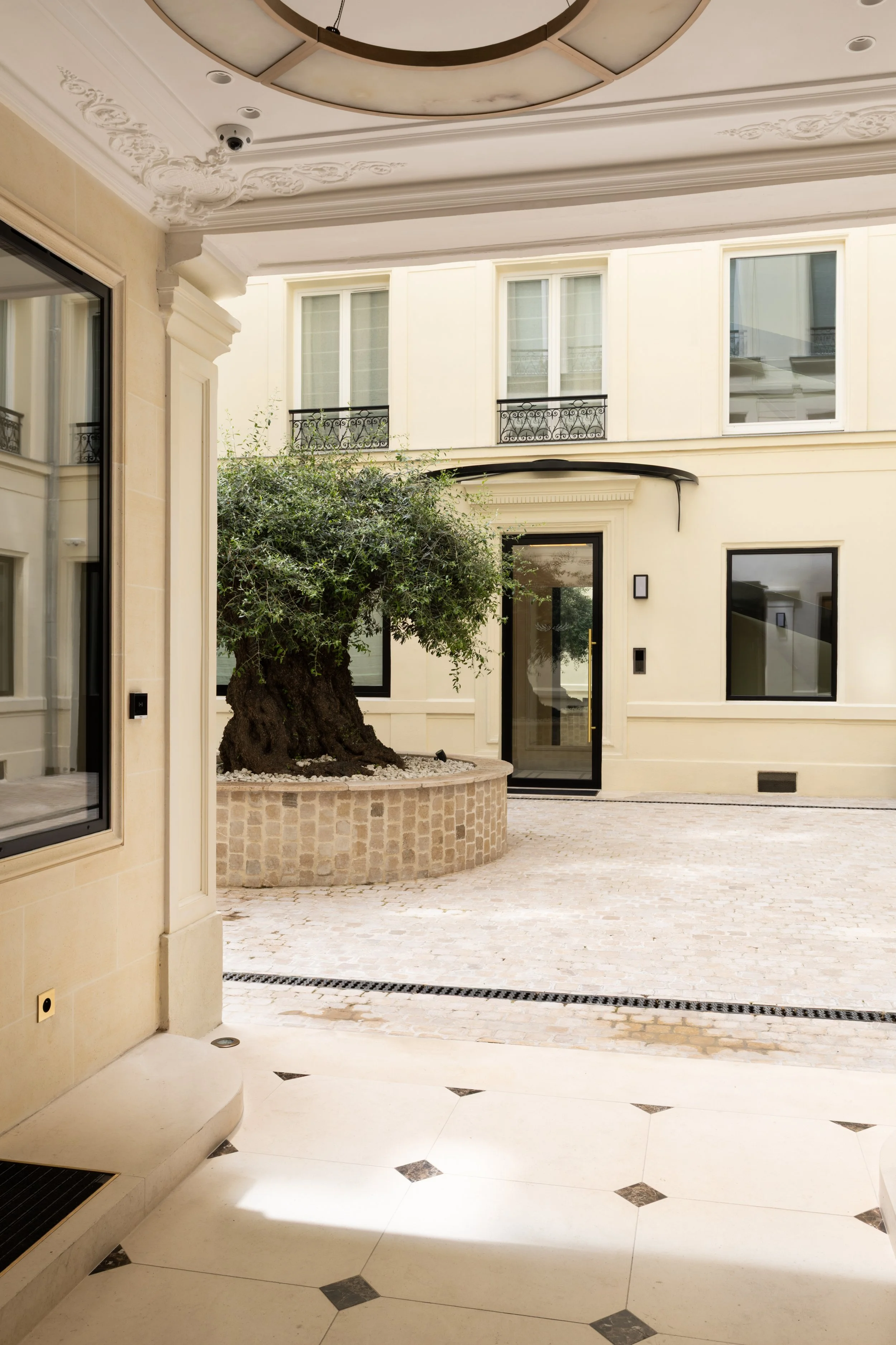 Cour intérieure de prestige à Paris avec olivier, pavés en pierre naturelle et architecture élégante – Intérieurs Chomet.