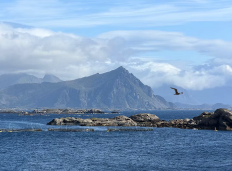Foto: Unsplash