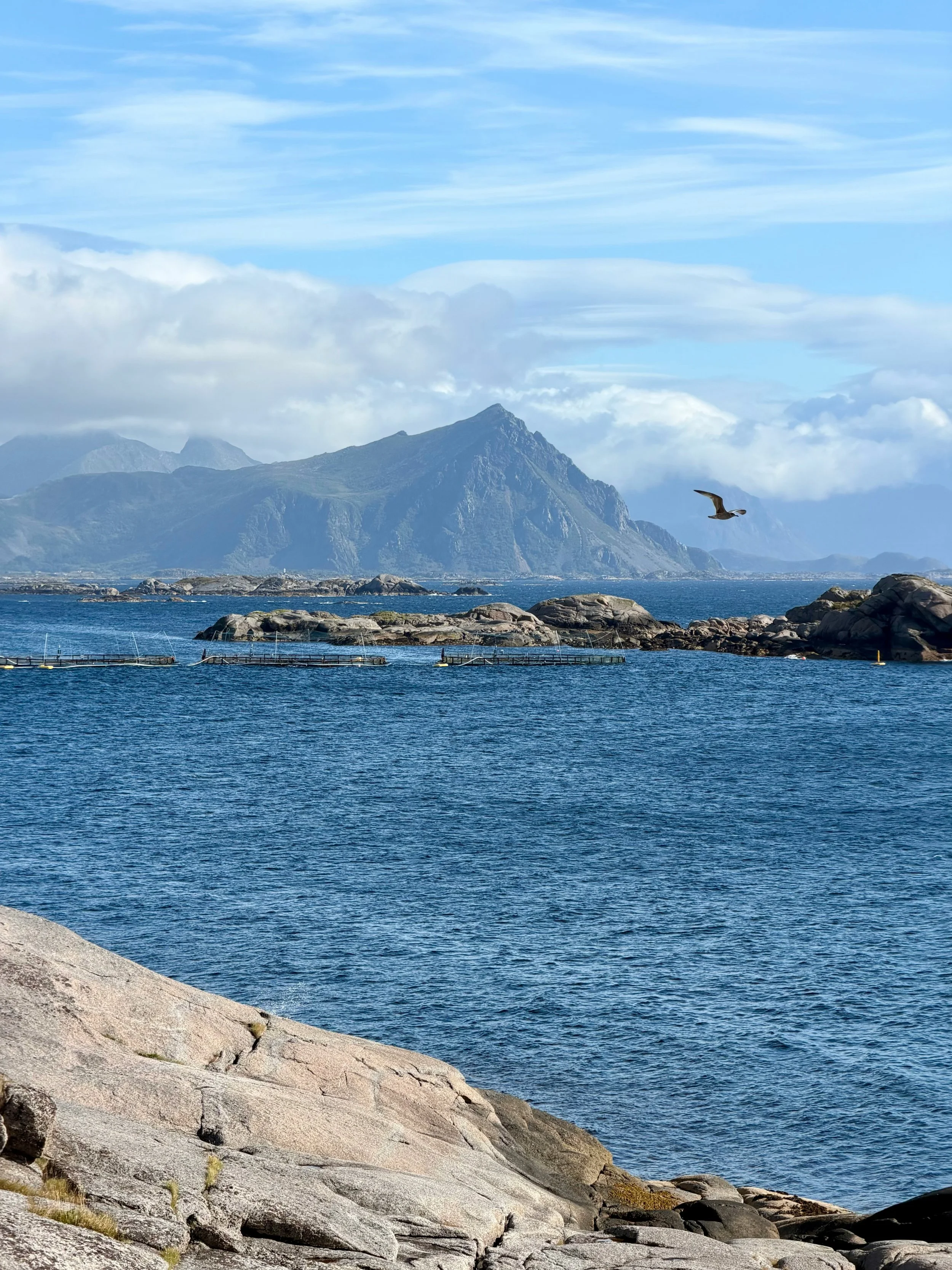 Foto: Unsplash