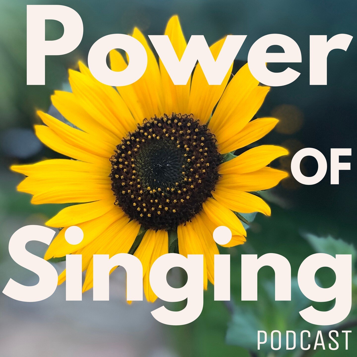Hello Singers! You are invited to join the Santosha Voice Group - live on Zoom on Wednesday, August 24 at 10 am Pacific Time. This is a follow up to Episode #2 of our podcast: THE POWER OF SINGING which aired on August 9. Take a listen wherever you g