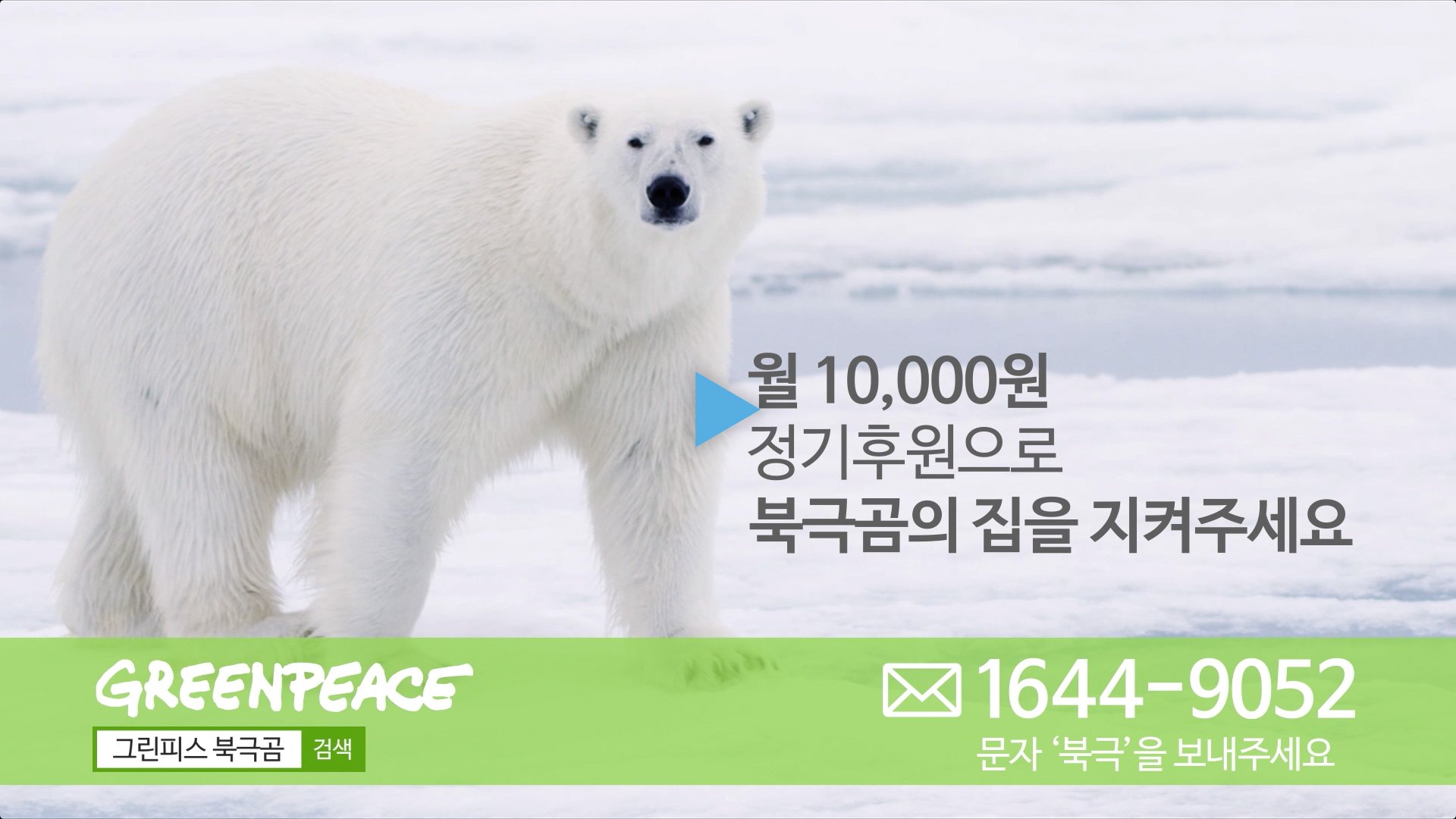 GREENPEACE KOREA 