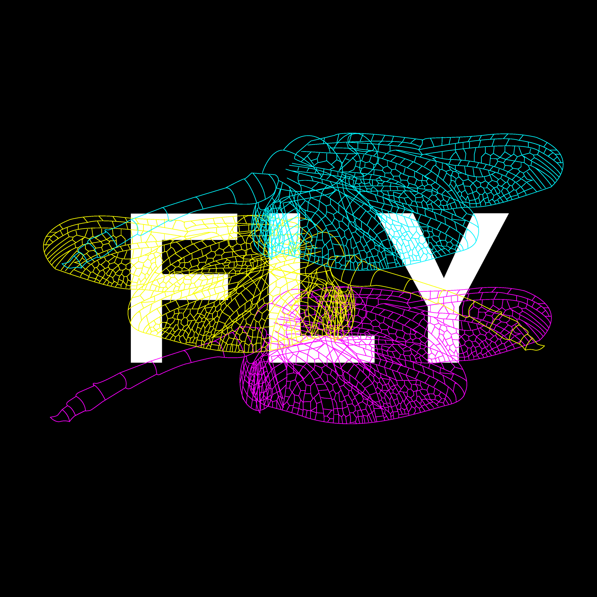Image as Communication Project 1 Aimee Cho_Page_08.png