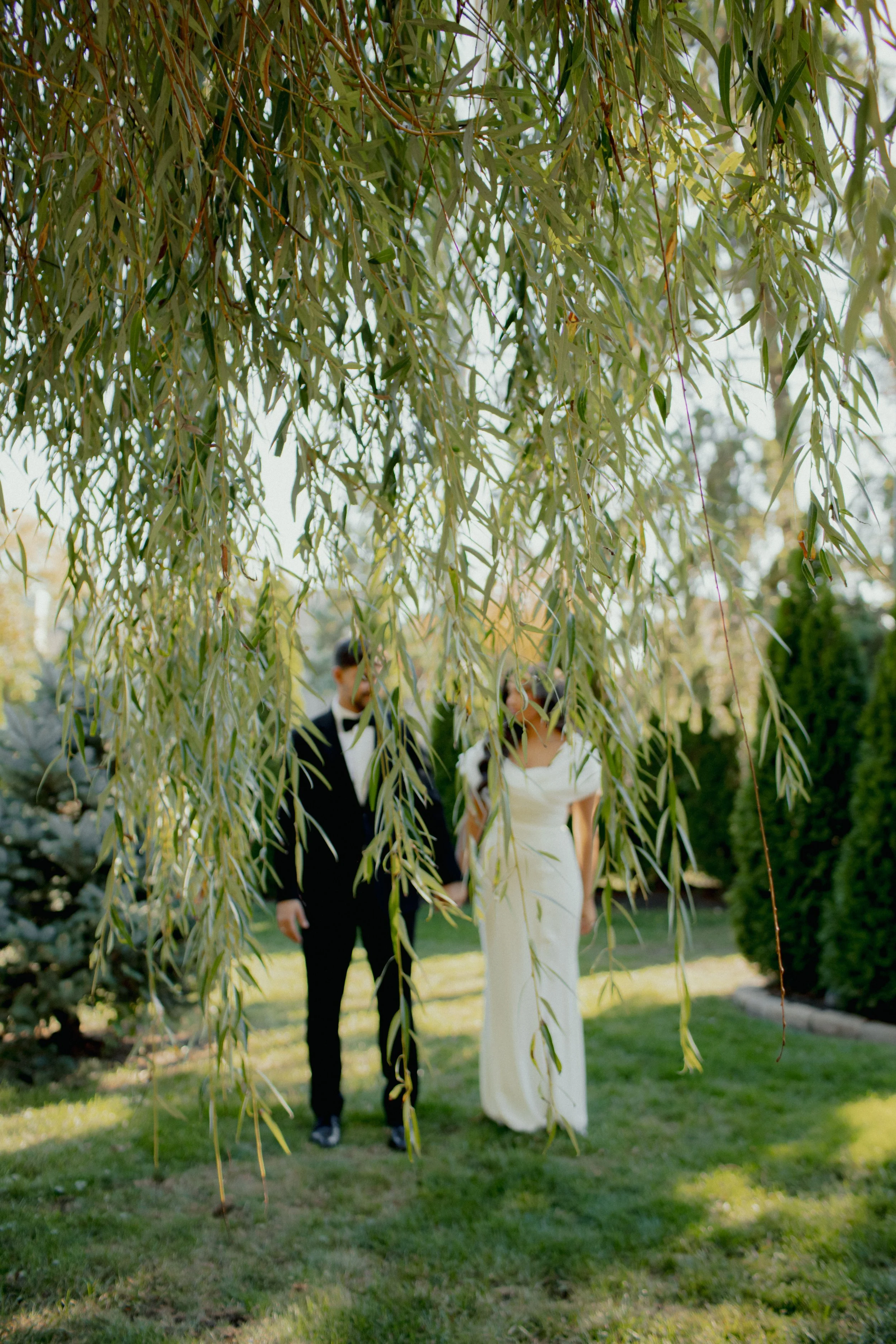 A couple dressed in formal attire holding hands on a grassy lawn, seen through hanging branches of a tree.