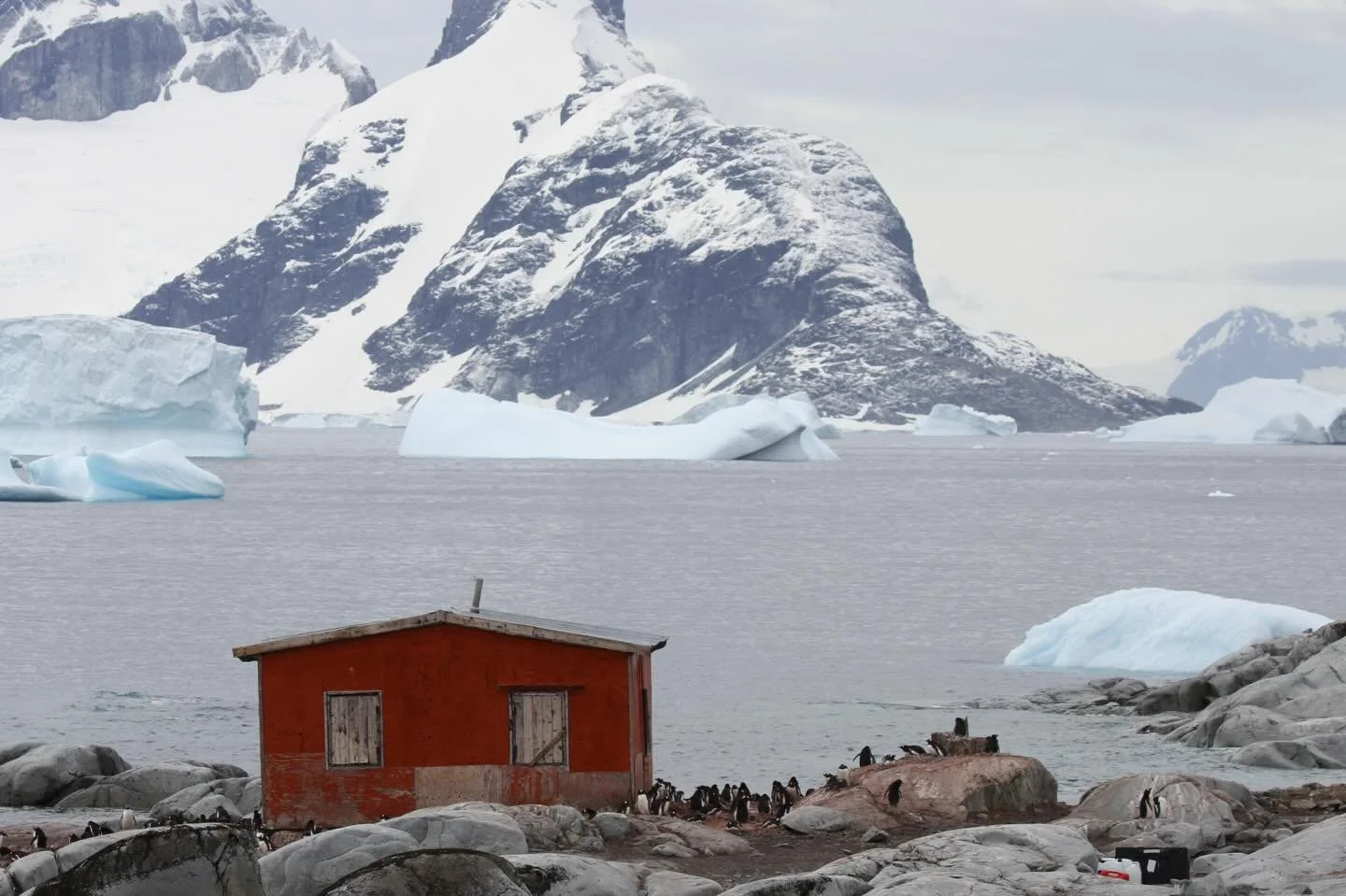 The world can feel so dark.

Yet, it is also still so full of incredible light. 

Molting penguins, a solar halo and boots crunching across the ice. The reflection of so many shades of blue in still water, birds cutting across the silent sky and seal