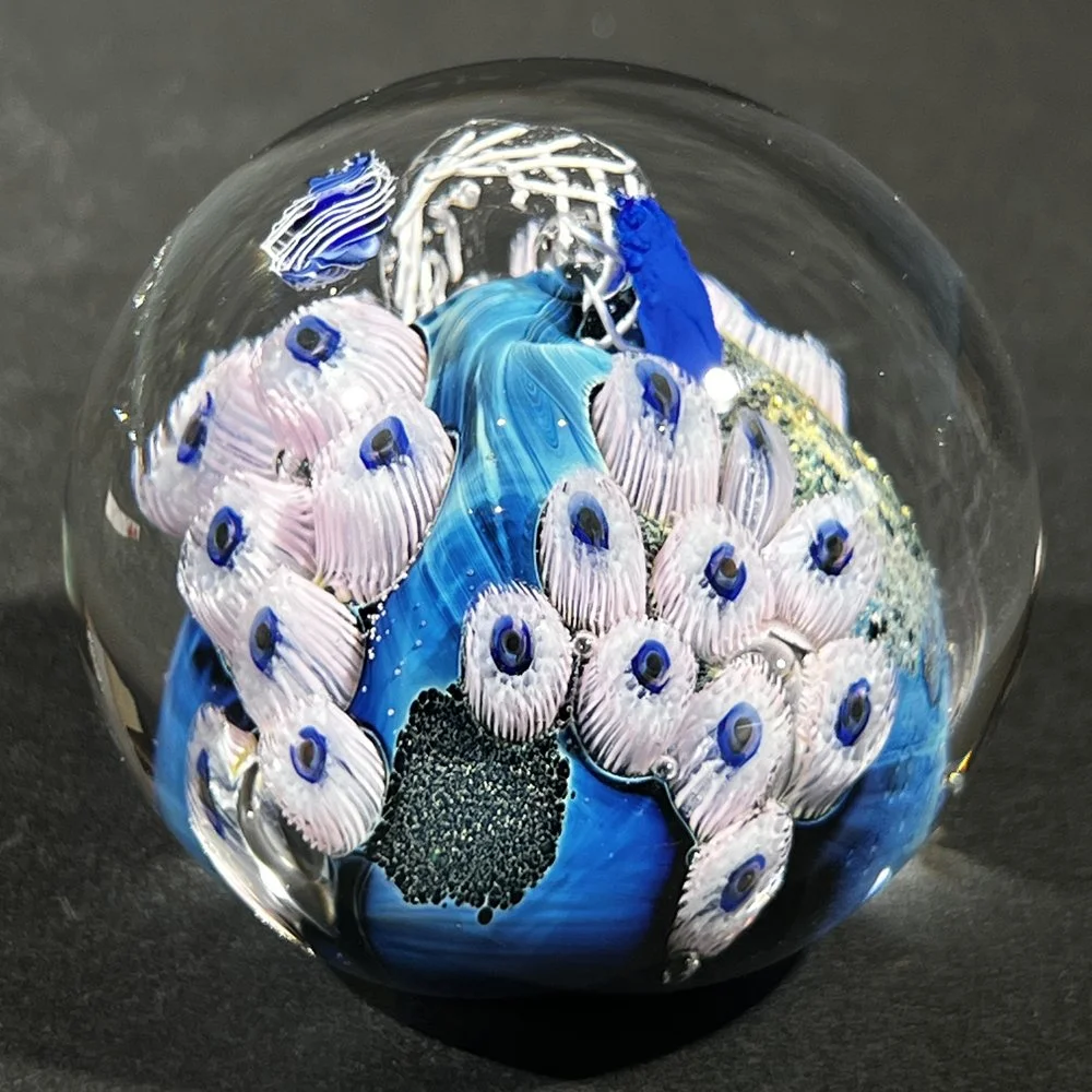 PWAP-5.43.24-1.jpg