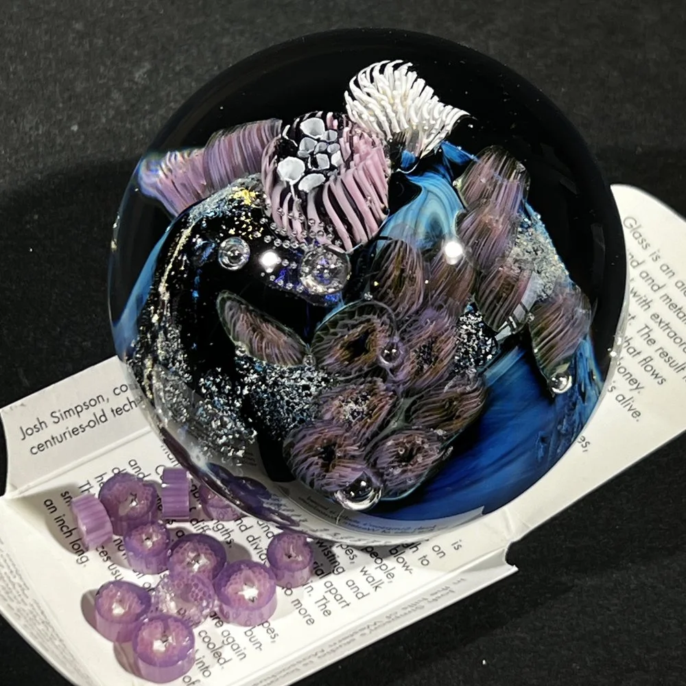 PWAP-5.41.24-4.jpg