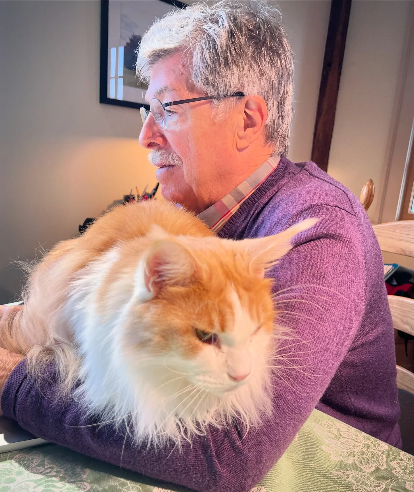 New Mexico 3.5" Josh Simpson Glass