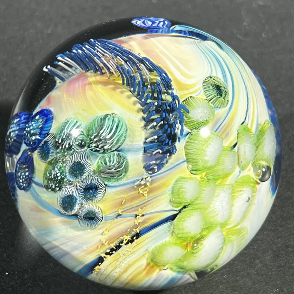 PWIN-9.34.26-2.jpg