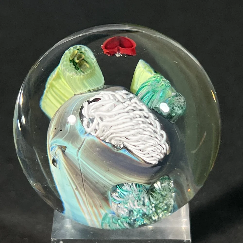 PTLIH-229.24-2.jpg