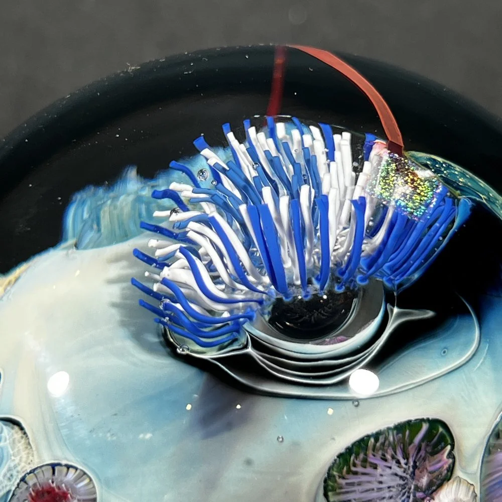 PWMD-12.13.25-4.jpg