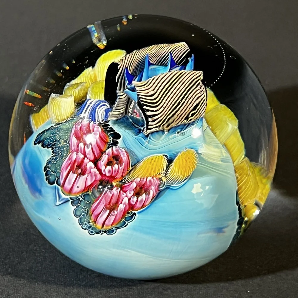 PWIN-5.5.26-1.jpg
